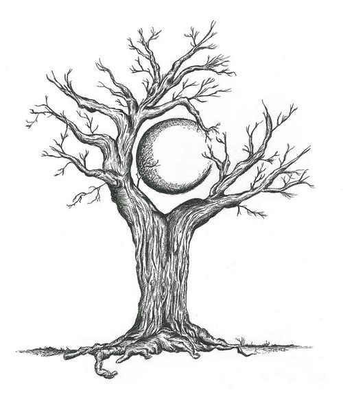 Moon Tree